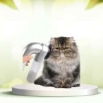 Prova SpazzolAmica: elimina i peli degli animali e pulisci casa senza fatica